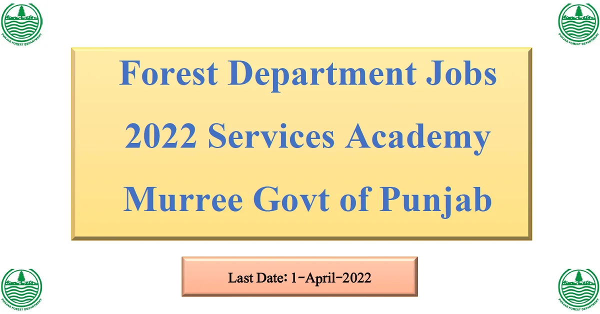 Featured Image Punjab Forest Department Jobs 2022 Services Academy Murree Govt Of Punjab