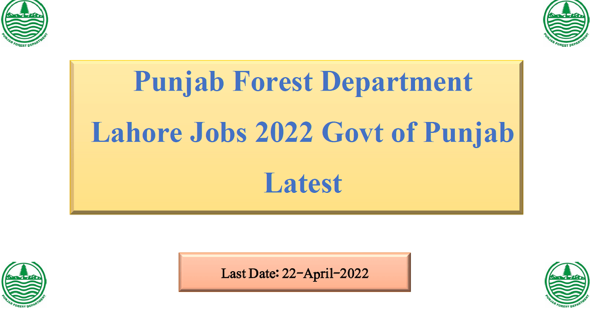 Featured Image Punjab Forest Department Lahore Jobs 2022 Govt Of Punjab Latest