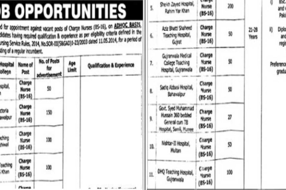 Featured Image Government Of Punjab Shcmed Charge Nurse Hospital Jobs 2024 Apply Online
